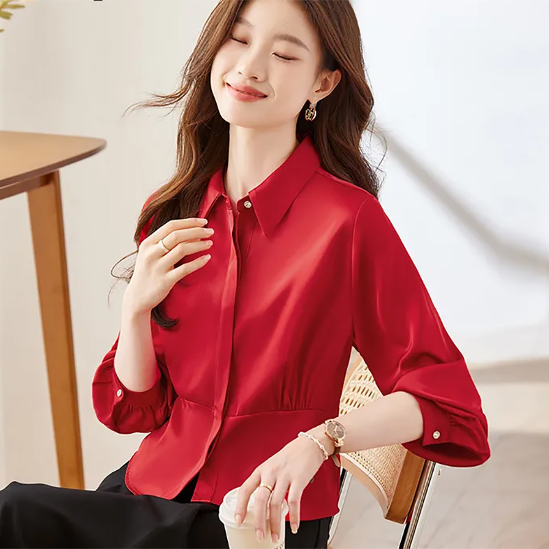 Shirts met lange mouwen Dames  - Women Formal Blouses For Evening Wear recensie en prijs